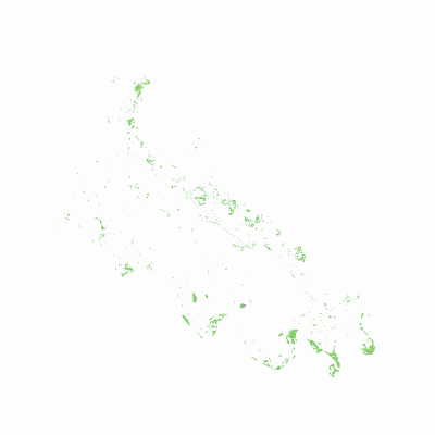 Export Image