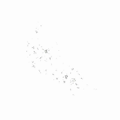 Export Image